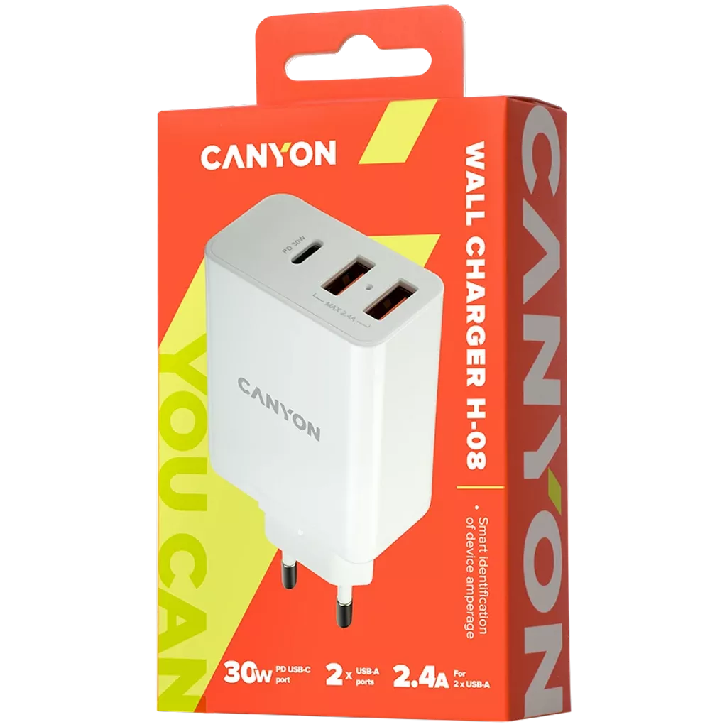 Powerful Technology Multi-USB Wall Charger, 2.4A H-08