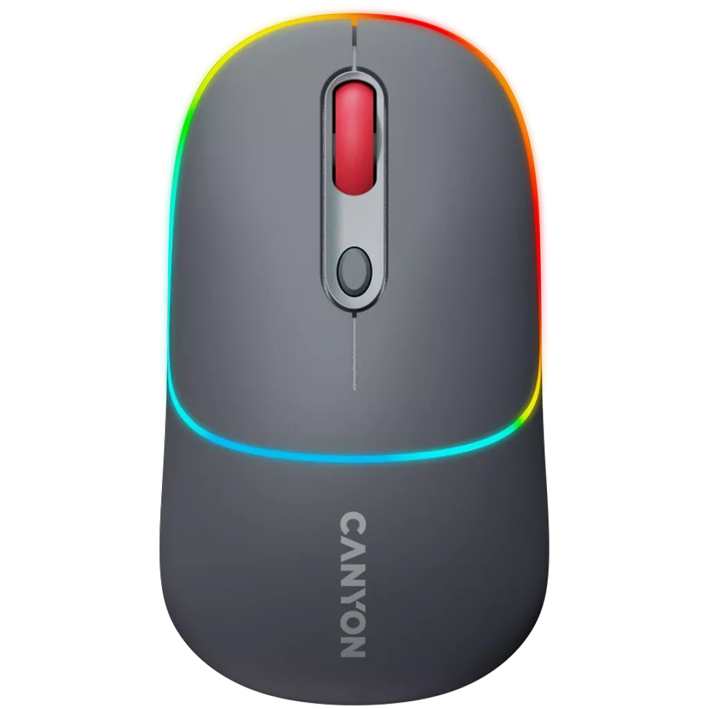 Canyon Dual mode wireless mouse CNS-CMSW22DG