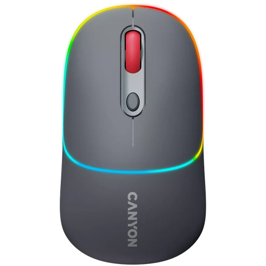 Canyon Dual mode wireless mouse CNS-CMSW22DG