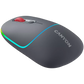 Canyon Dual mode wireless mouse CNS-CMSW22DG
