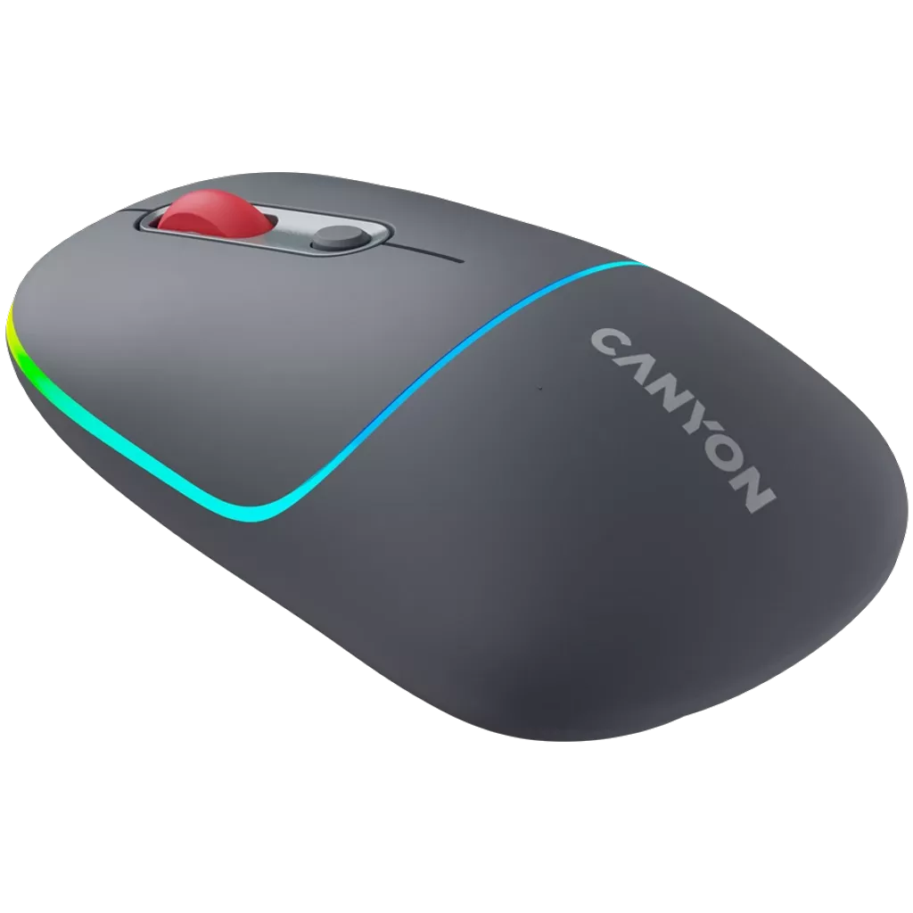 Canyon Dual mode wireless mouse CNS-CMSW22DG