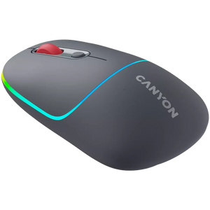 Canyon Dual mode wireless mouse CNS-CMSW22DG