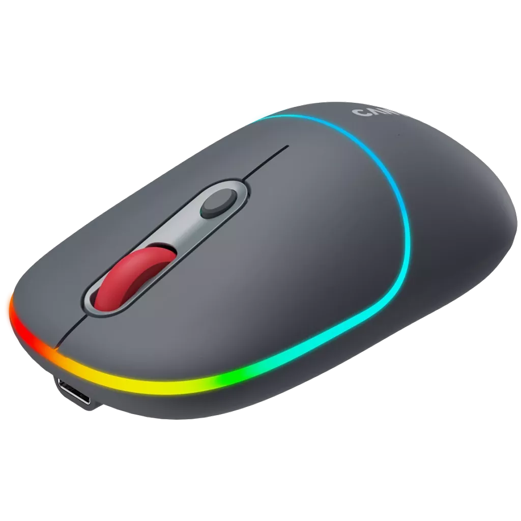 Canyon Dual mode wireless mouse CNS-CMSW22DG