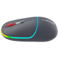 Canyon Dual mode wireless mouse CNS-CMSW22DG