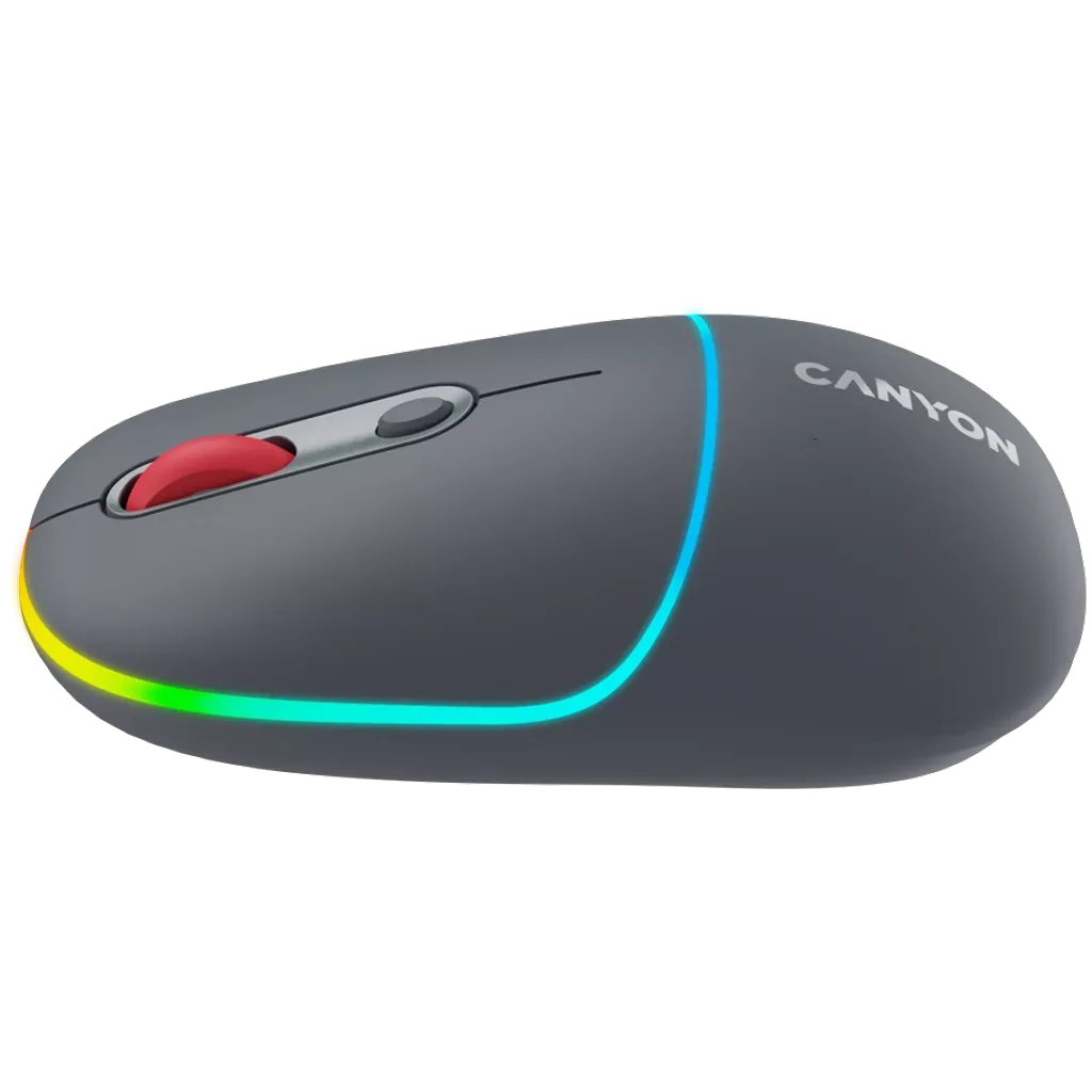 Canyon Dual mode wireless mouse CNS-CMSW22DG