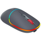 Canyon Dual mode wireless mouse CNS-CMSW22DG