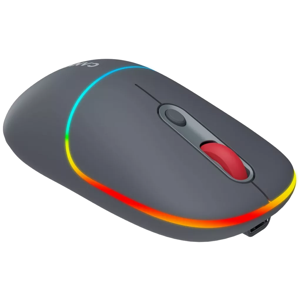 Canyon Dual mode wireless mouse CNS-CMSW22DG