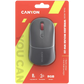 Canyon Dual mode wireless mouse CNS-CMSW22DG