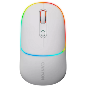 Dual mode wireless mouse CNS-CMSW22SW