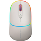 Canyon Dual mode wireless mouse CNS-CMSW22RC