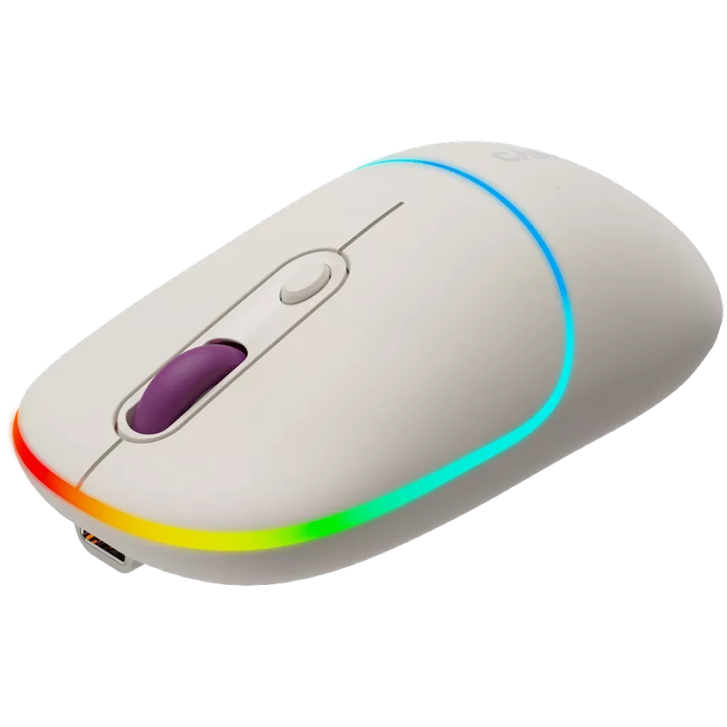 Canyon Dual mode wireless mouse CNS-CMSW22RC