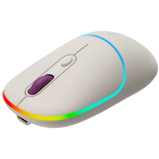 Canyon Dual mode wireless mouse CNS-CMSW22RC