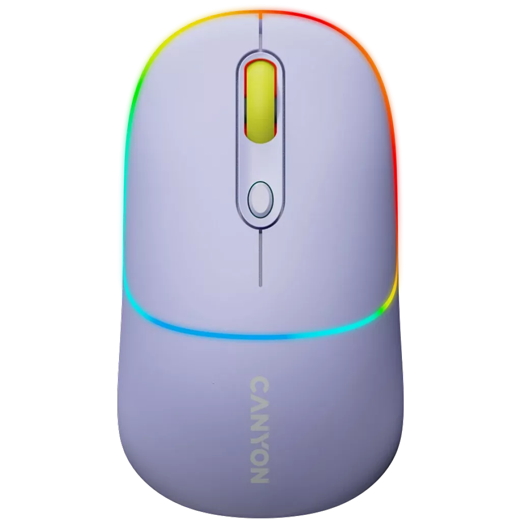 Canyon Dual mode wireless mouse  CNS-CMSW22ML