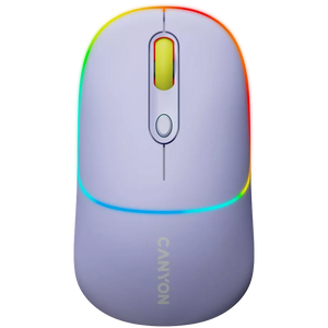Canyon Dual mode wireless mouse  CNS-CMSW22ML