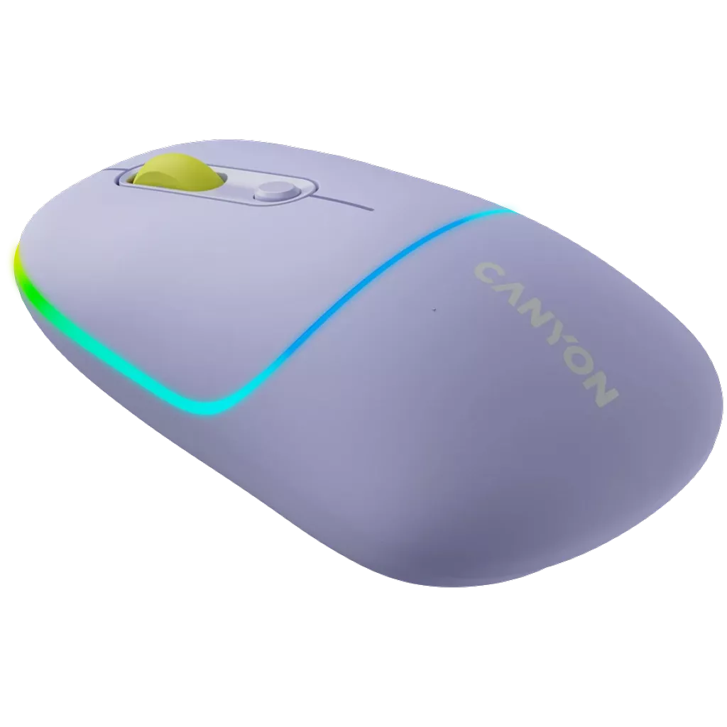 Canyon Dual mode wireless mouse  CNS-CMSW22ML