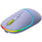 Canyon Dual mode wireless mouse  CNS-CMSW22ML