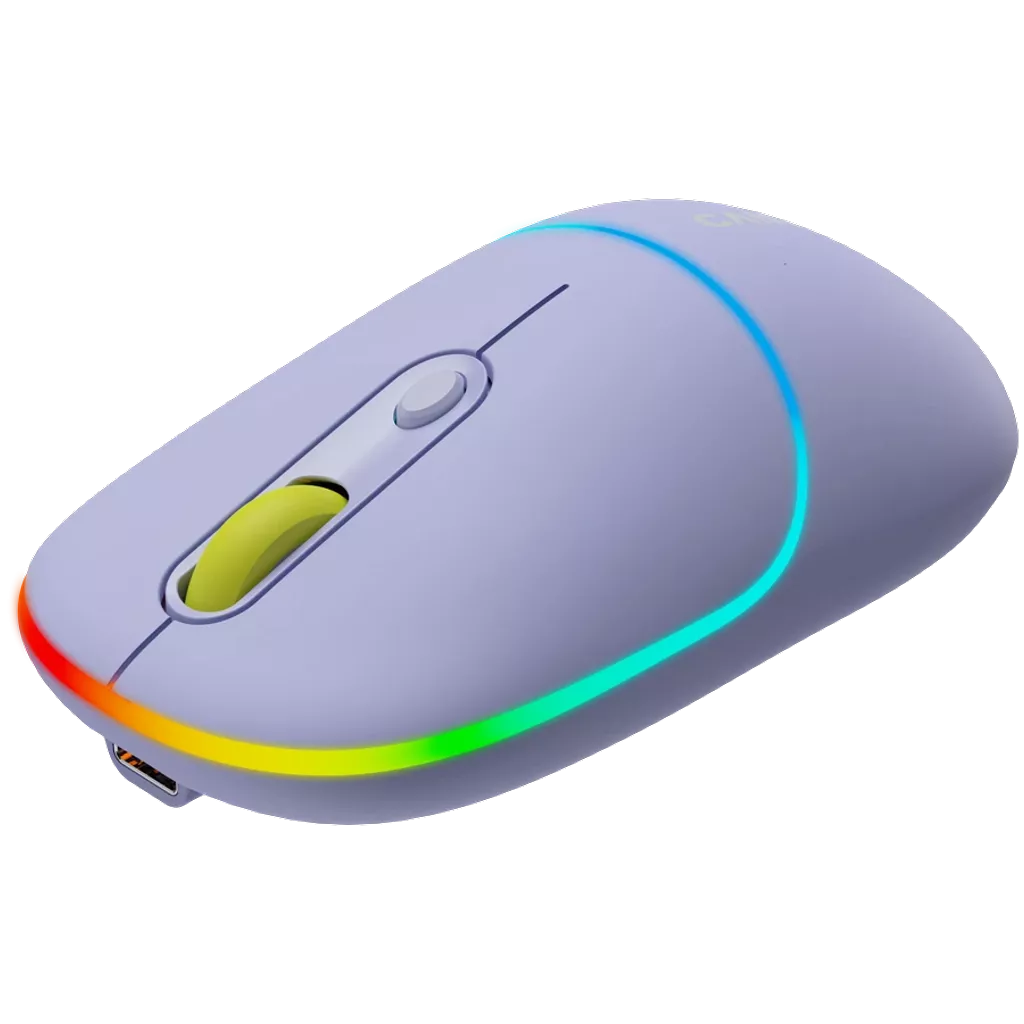 Canyon Dual mode wireless mouse  CNS-CMSW22ML