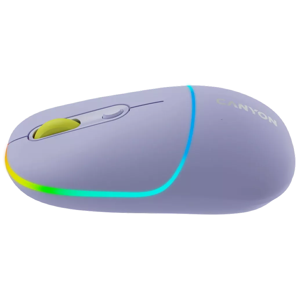 Canyon Dual mode wireless mouse  CNS-CMSW22ML