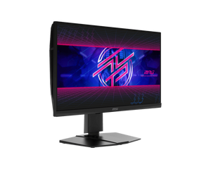 Gaming Monitor MSI 600HZ 24-INCH
