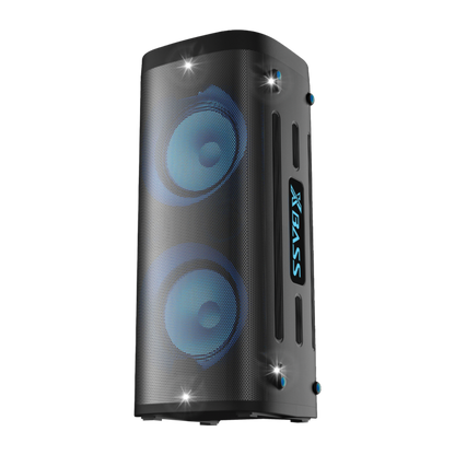 VIVAX karaoke speaker BS-1000