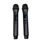 VIVAX karaoke speaker BS-1000