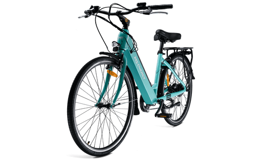 MS ENERGY eBike c10