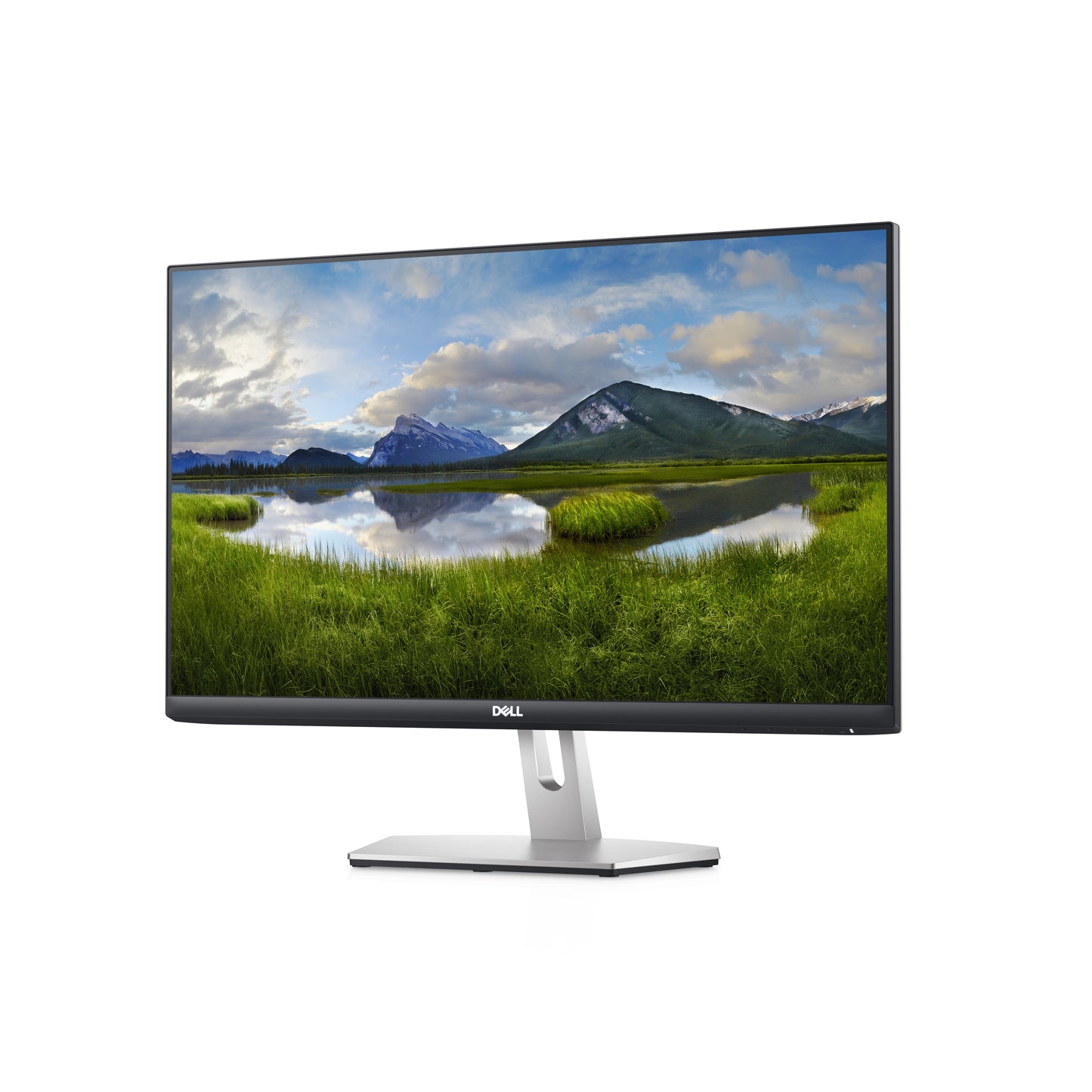 DELL 23.8" S2421HN FreeSync IPS Monitor