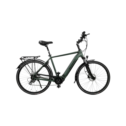 MS ENERGY eBike c501